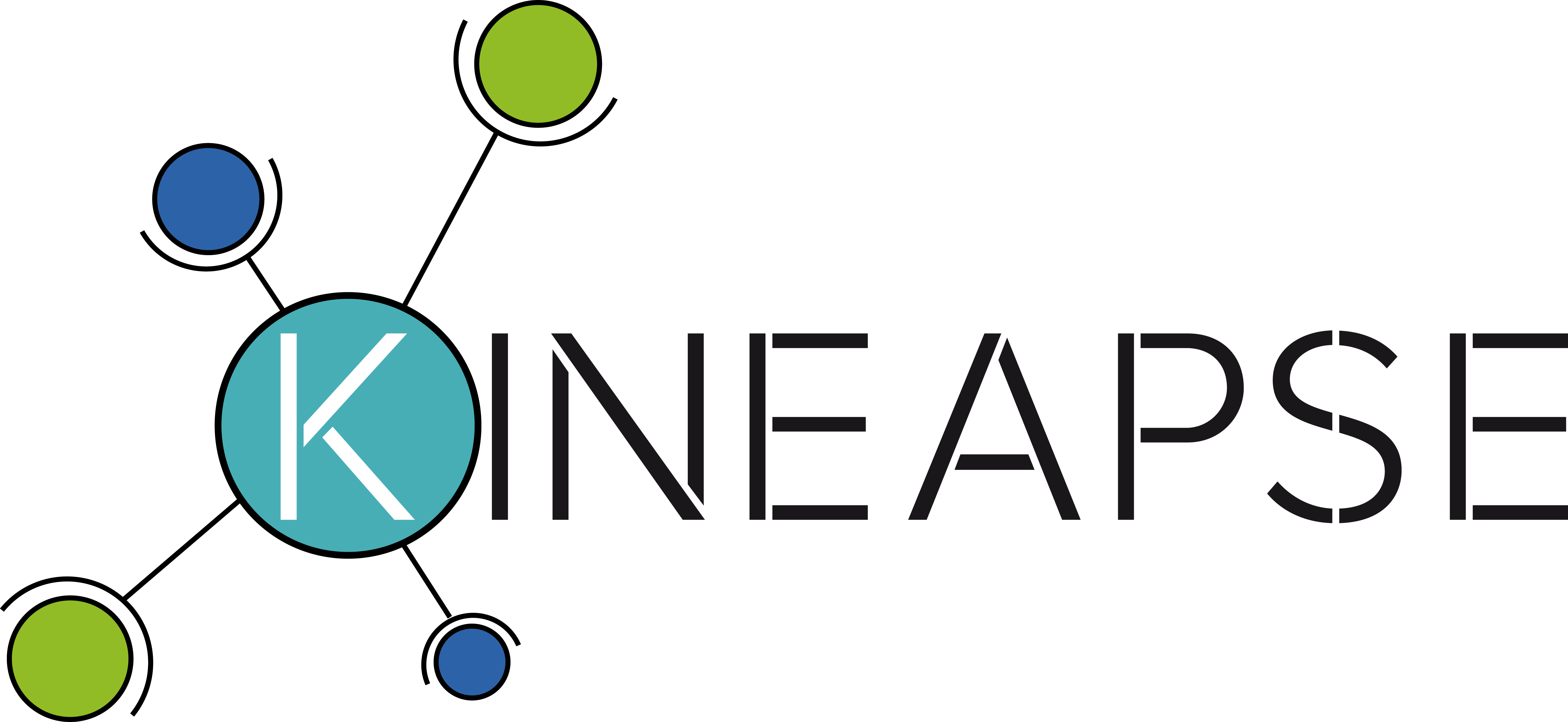 Application Kineapse logo